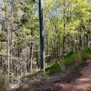 Photo #21 of Off Big Rock Ln, Lowgap, NC 7.0 acres