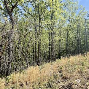 Photo #2 of Off Big Rock Ln, Lowgap, NC 7.0 acres