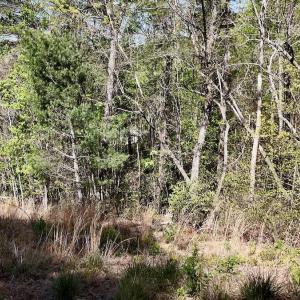 Photo #22 of Off Big Rock Ln, Lowgap, NC 7.0 acres