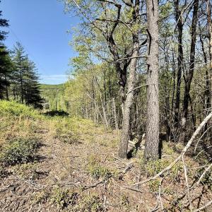 Photo #23 of Off Big Rock Ln, Lowgap, NC 7.0 acres