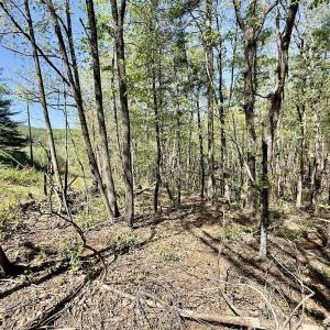 Photo #3 of Off Big Rock Ln, Lowgap, NC 7.0 acres