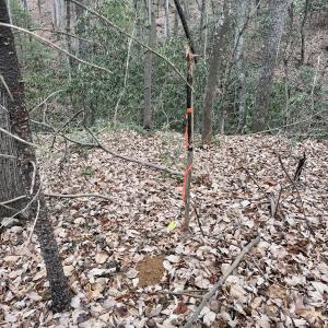 Photo #7 of Off Big Rock Ln, Lowgap, NC 7.0 acres