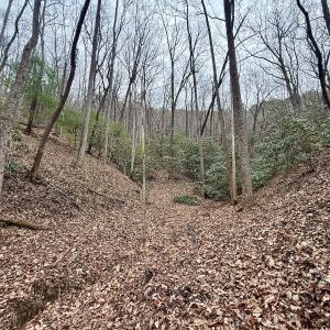 Photo #8 of Off Big Rock Ln, Lowgap, NC 7.0 acres