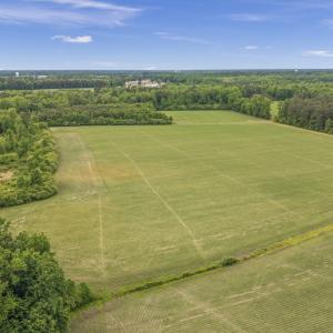 Photo #9 of 34.4 Acres High School Road, Teachey, NC 34.4 acres