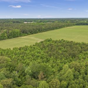 Photo #10 of 34.4 Acres High School Road, Teachey, NC 34.4 acres