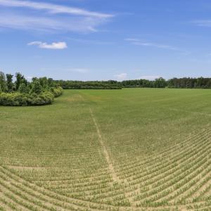Photo #15 of 34.4 Acres High School Road, Teachey, NC 34.4 acres