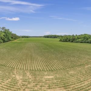 Photo #16 of 34.4 Acres High School Road, Teachey, NC 34.4 acres