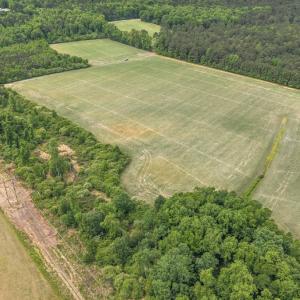 Photo #18 of 34.4 Acres High School Road, Teachey, NC 34.4 acres