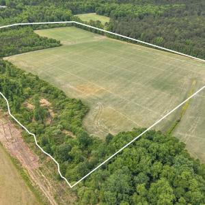 Photo #19 of 34.4 Acres High School Road, Teachey, NC 34.4 acres