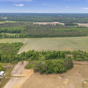 Photo #21 of 34.4 Acres High School Road, Teachey, NC 34.4 acres