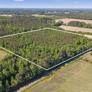 Photo #6 of 26 Acres High School Road, Teachey, NC 26.0 acres