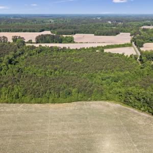 Photo #7 of 26 Acres High School Road, Teachey, NC 26.0 acres