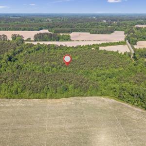 Photo #8 of 26 Acres High School Road, Teachey, NC 26.0 acres
