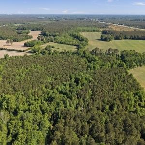 Photo #9 of 26 Acres High School Road, Teachey, NC 26.0 acres