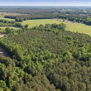 Photo #11 of 26 Acres High School Road, Teachey, NC 26.0 acres