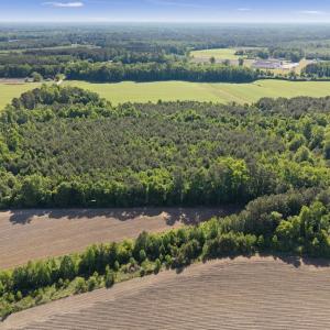 Photo #12 of 26 Acres High School Road, Teachey, NC 26.0 acres