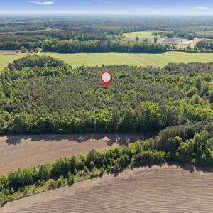 Photo #13 of 26 Acres High School Road, Teachey, NC 26.0 acres