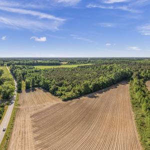 Photo #14 of 26 Acres High School Road, Teachey, NC 26.0 acres