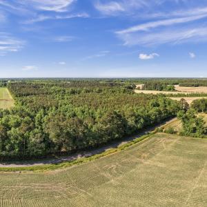Photo #16 of 26 Acres High School Road, Teachey, NC 26.0 acres