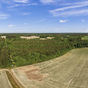 Photo #17 of 26 Acres High School Road, Teachey, NC 26.0 acres