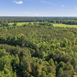 Photo #18 of 26 Acres High School Road, Teachey, NC 26.0 acres