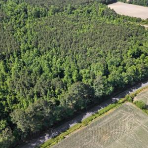Photo #20 of 26 Acres High School Road, Teachey, NC 26.0 acres