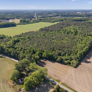 Photo #4 of 26 Acres High School Road, Teachey, NC 26.0 acres