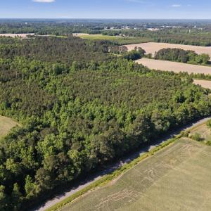 Photo #5 of 26 Acres High School Road, Teachey, NC 26.0 acres