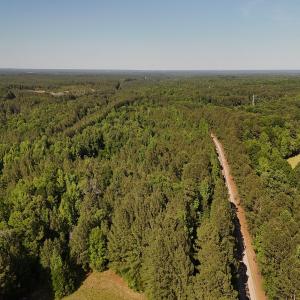 Photo #13 of Off T Tarpey Ln, Sanford, NC 12.6 acres