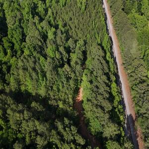 Photo #14 of Off T Tarpey Ln, Sanford, NC 12.6 acres