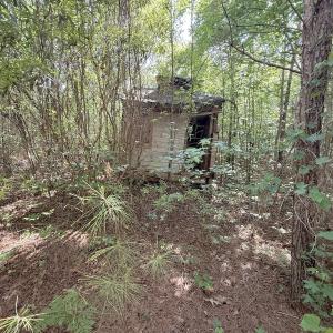Photo #16 of Off T Tarpey Ln, Sanford, NC 12.6 acres