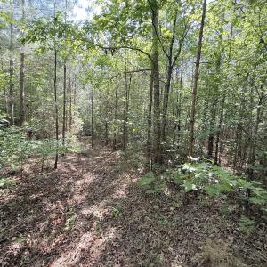 Photo #17 of Off T Tarpey Ln, Sanford, NC 12.6 acres