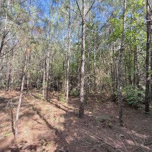 Photo #19 of Off T Tarpey Ln, Sanford, NC 12.6 acres