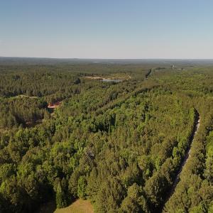Photo #1 of Off T Tarpey Ln, Sanford, NC 12.6 acres