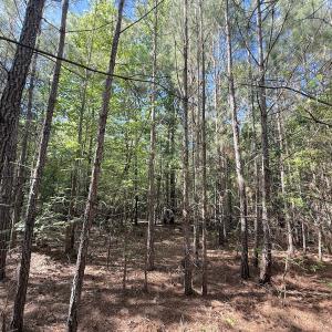 Photo #20 of Off T Tarpey Ln, Sanford, NC 12.6 acres