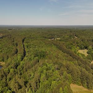 Photo #21 of Off T Tarpey Ln, Sanford, NC 12.6 acres
