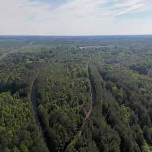 Photo #22 of Off T Tarpey Ln, Sanford, NC 12.6 acres