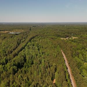 Photo #24 of Off T Tarpey Ln, Sanford, NC 12.6 acres