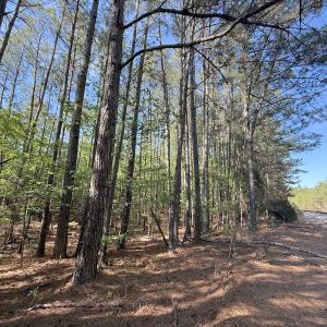 Photo #25 of Off T Tarpey Ln, Sanford, NC 12.6 acres