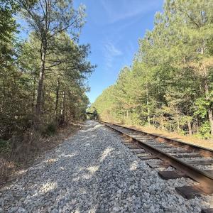 Photo #26 of Off T Tarpey Ln, Sanford, NC 12.6 acres