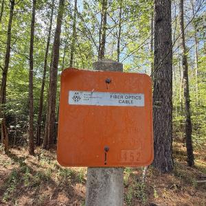 Photo #29 of Off T Tarpey Ln, Sanford, NC 12.6 acres