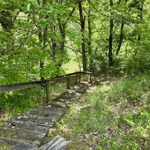 Photo #11 of Off of Ashe View Dr, Millers Creek, NC 4.7 acres