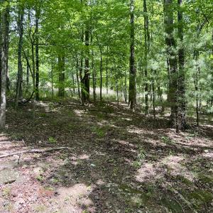 Photo #14 of Off of Ashe View Dr, Millers Creek, NC 4.7 acres