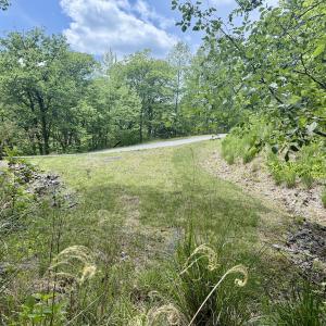 Photo #16 of Off of Ashe View Dr, Millers Creek, NC 4.7 acres