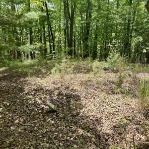 Photo #18 of Off of Ashe View Dr, Millers Creek, NC 4.7 acres