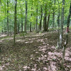 Photo #19 of Off of Ashe View Dr, Millers Creek, NC 4.7 acres
