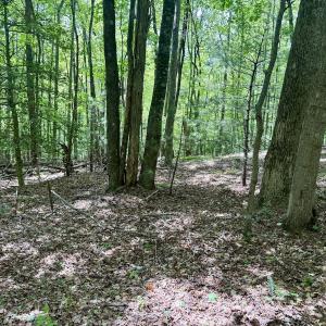 Photo #2 of Off of Ashe View Dr, Millers Creek, NC 4.7 acres