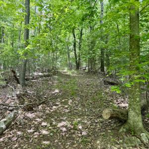 Photo #7 of Off of Ashe View Dr, Millers Creek, NC 4.7 acres