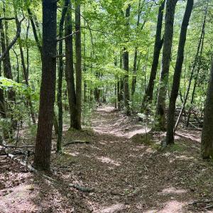 Photo #8 of Off of Ashe View Dr, Millers Creek, NC 4.7 acres