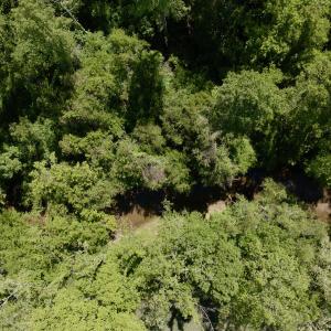 Photo #11 of Off of River Ridge Lane, Axton, VA 10.0 acres